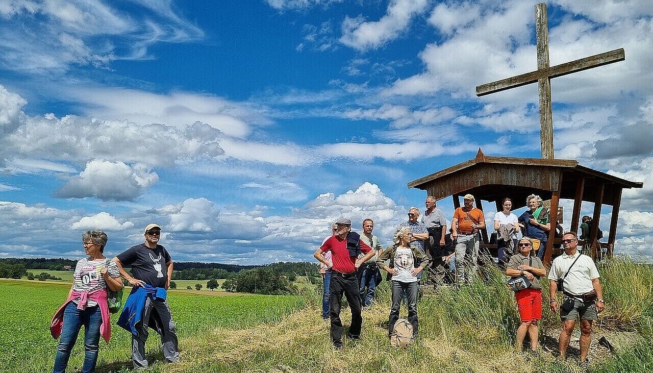 Bison Wandergruppe