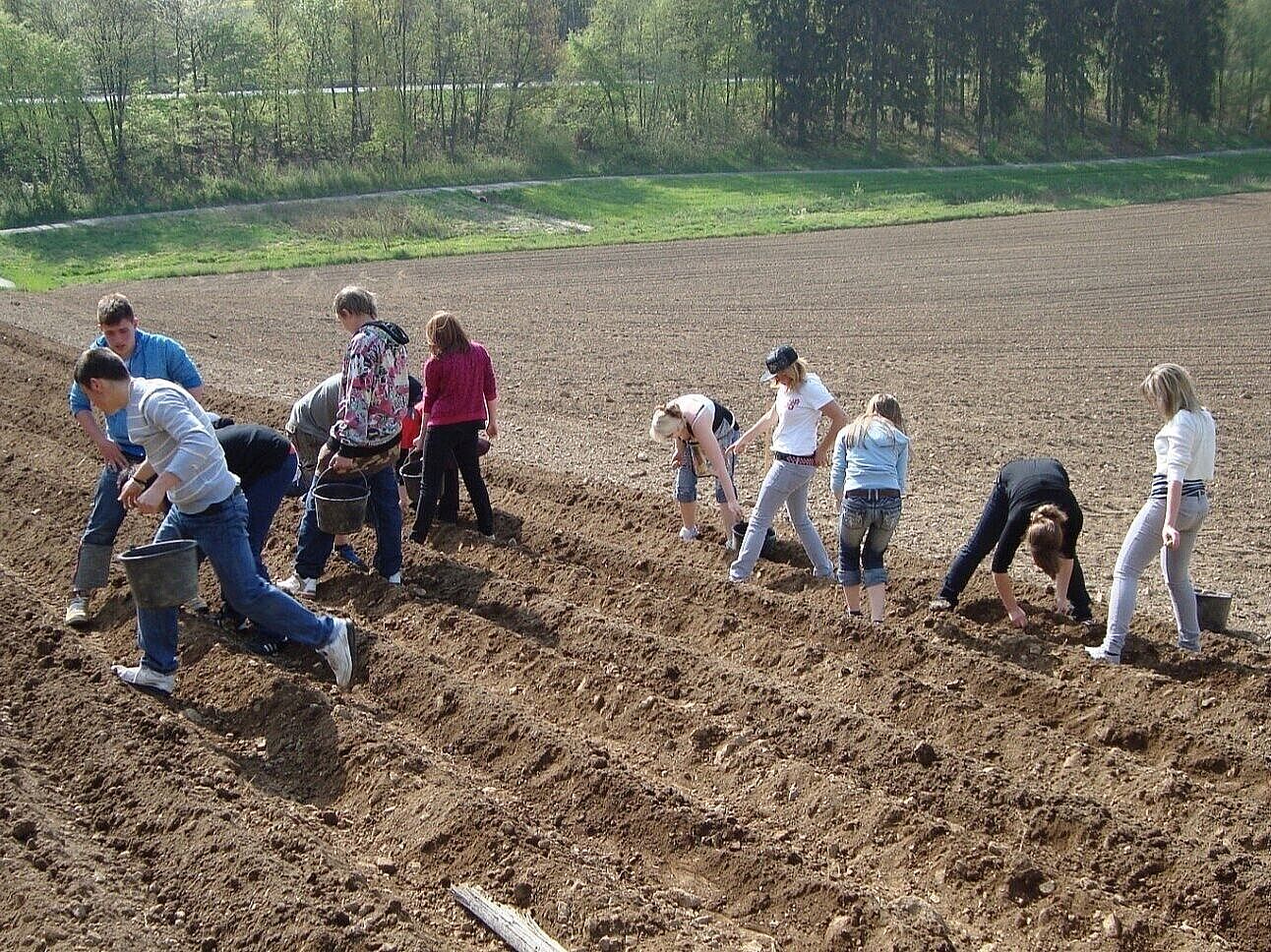 2009: Projekt "Münsterärpfl": Schüler der Münster-Hauptschule lernen anhand der Kartoffel den Markt kennen