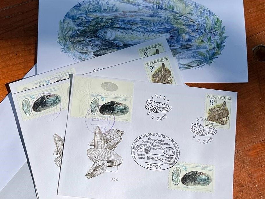 2001: Sonderbriefmarke Flussperlmuschel