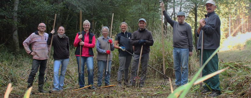 Pflege Thronbachtal 2015