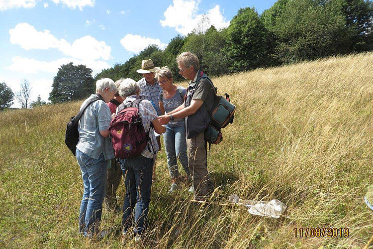 Heuschrecken-Exkursion - Die Teilnehmer/innen (© H. Buchheit)